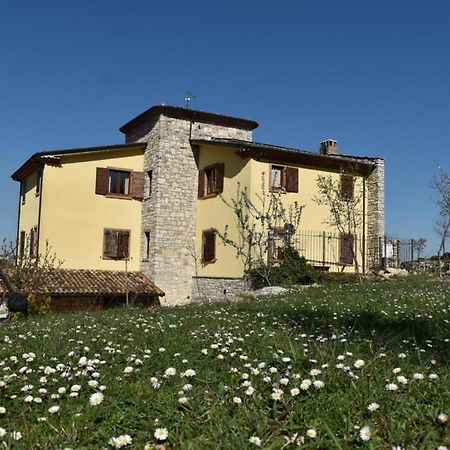 Agriturismo Terra E Sapori Campodipietra 外观 照片