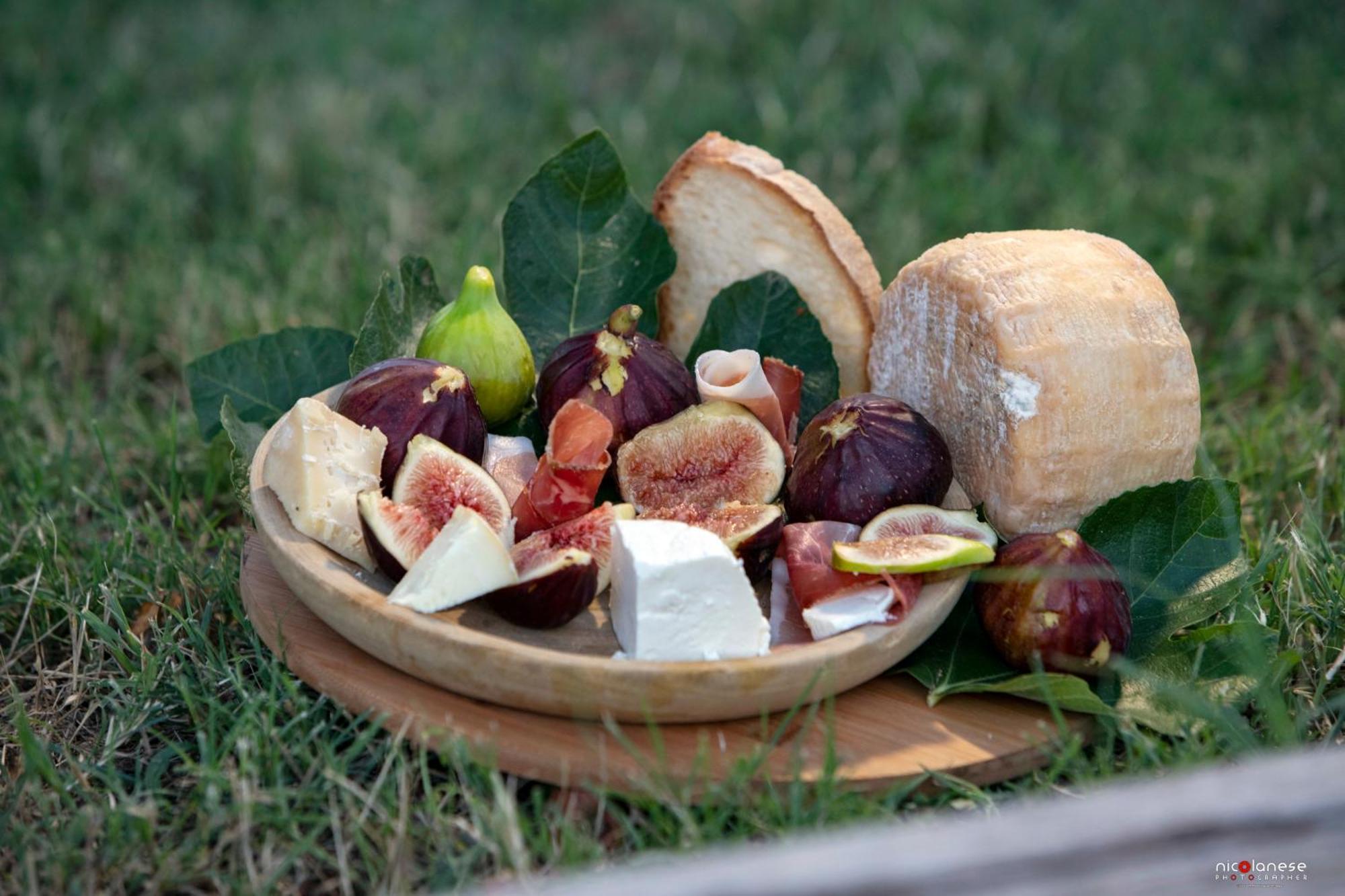 Agriturismo Terra E Sapori Campodipietra 外观 照片