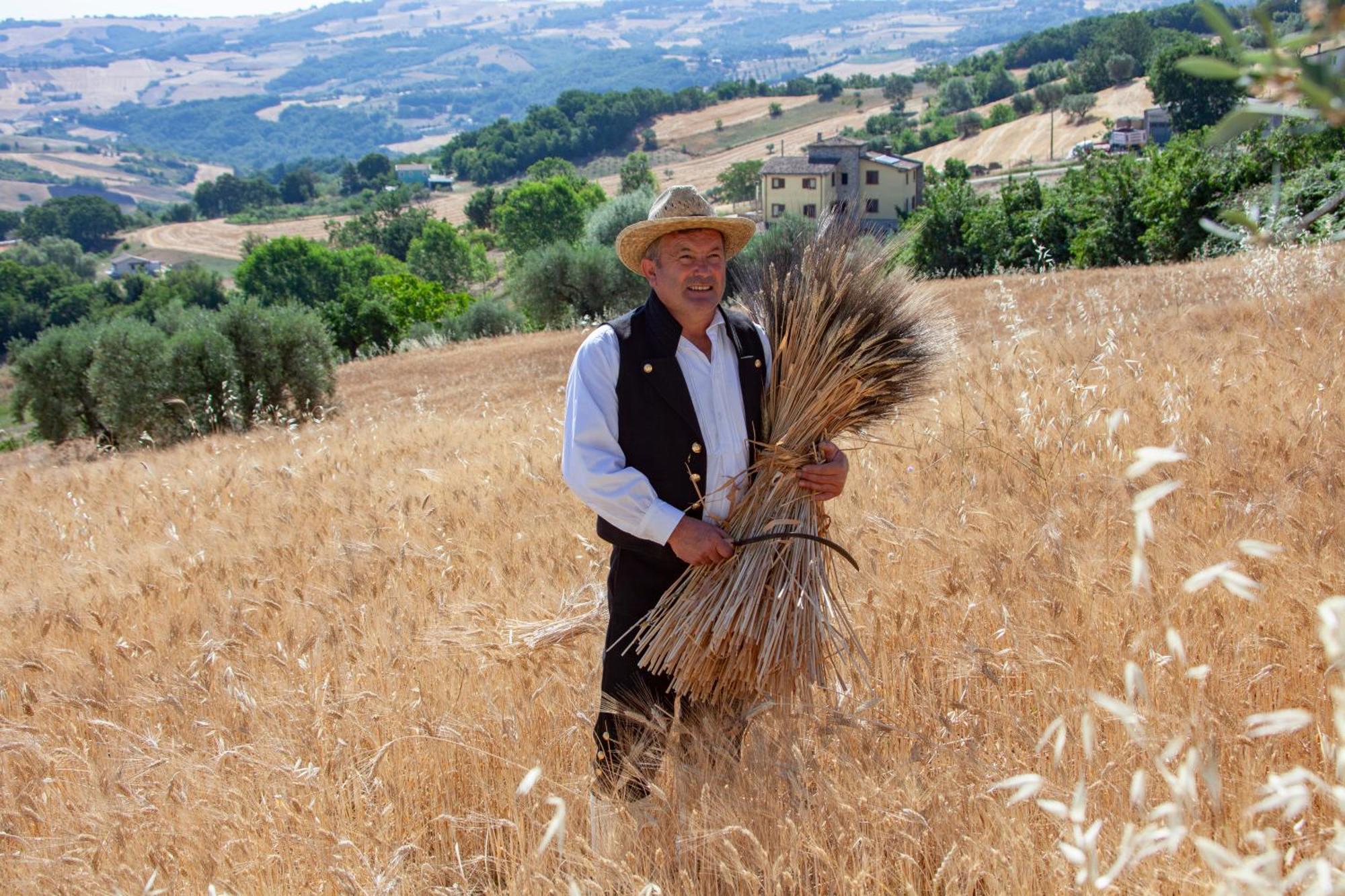 Agriturismo Terra E Sapori Campodipietra 外观 照片