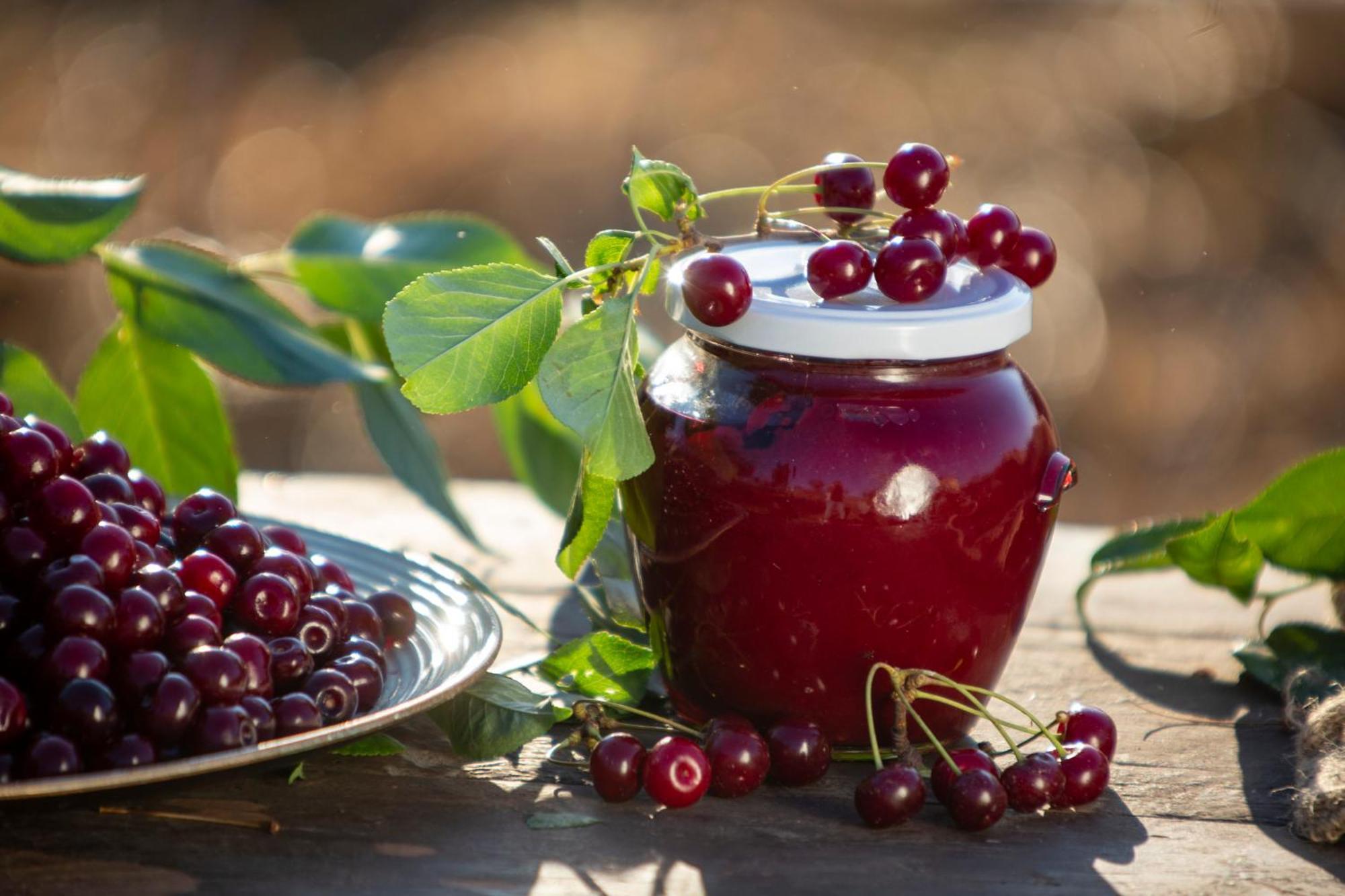 Agriturismo Terra E Sapori Campodipietra 外观 照片