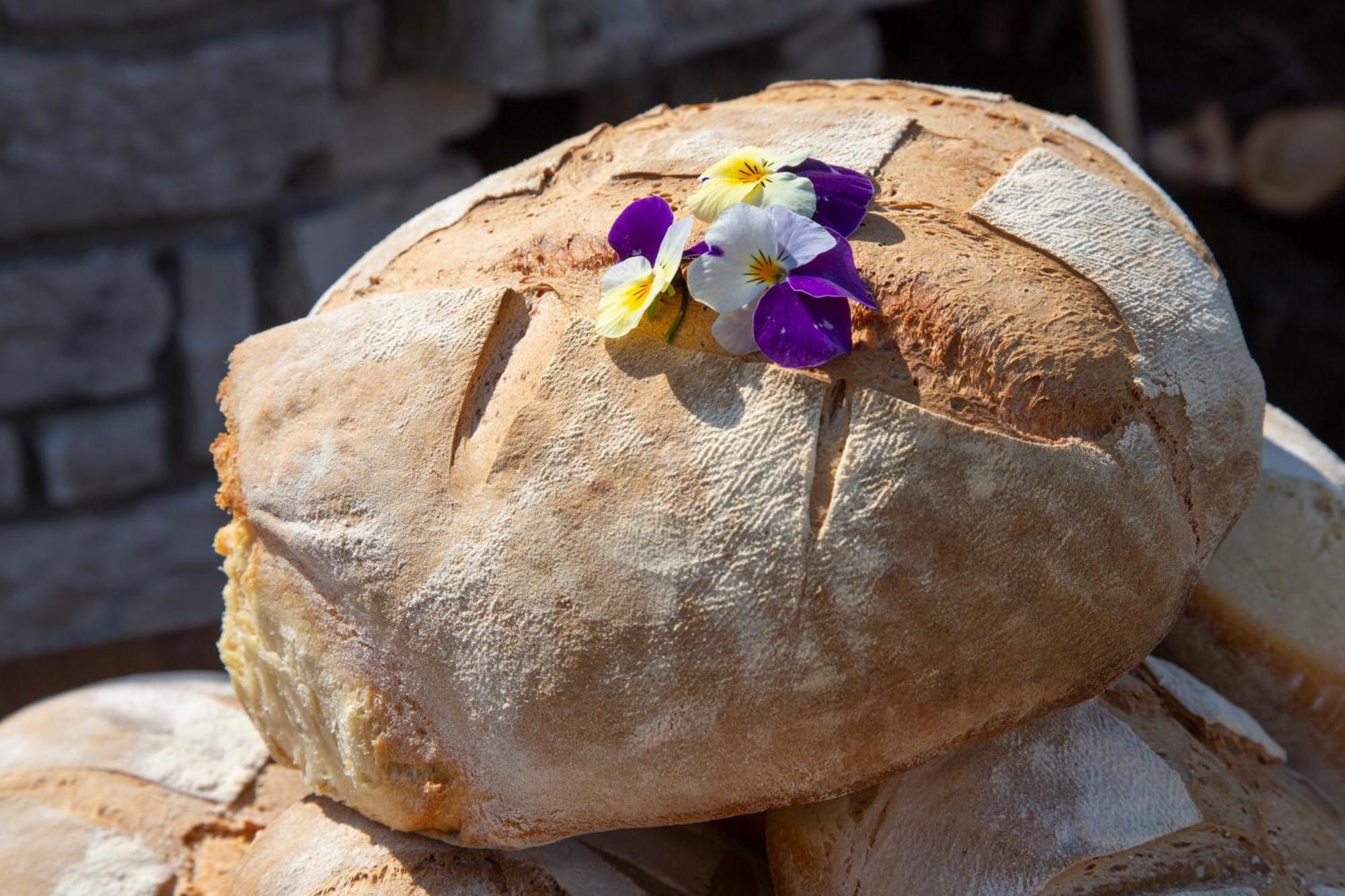 Agriturismo Terra E Sapori Campodipietra 外观 照片