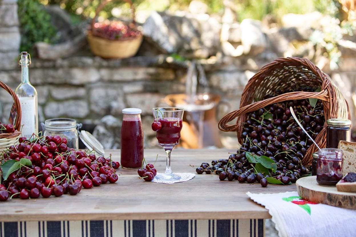 Agriturismo Terra E Sapori Campodipietra 外观 照片
