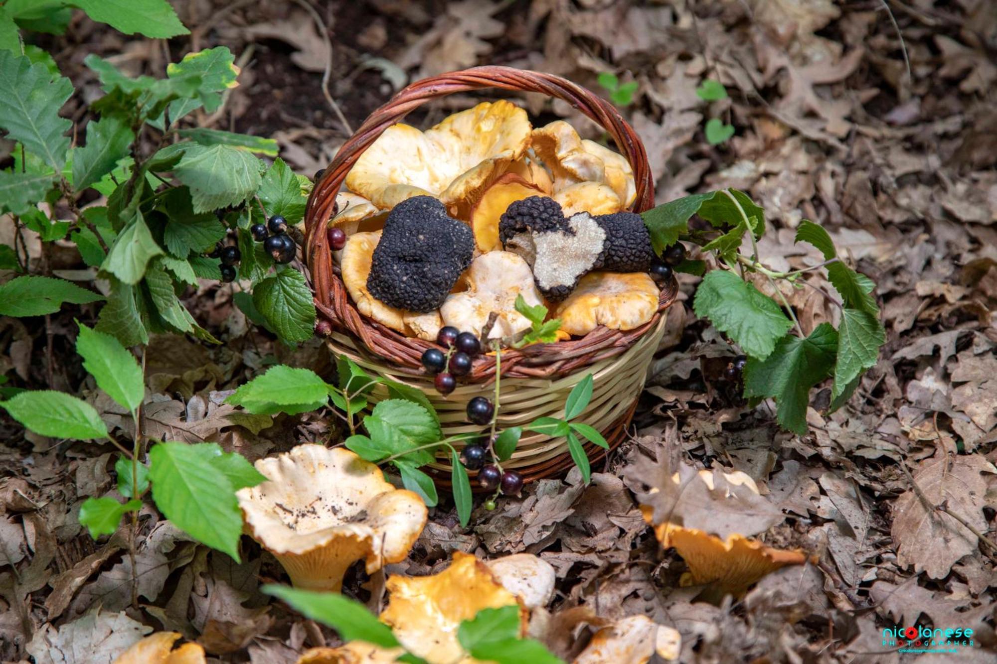 Agriturismo Terra E Sapori Campodipietra 外观 照片