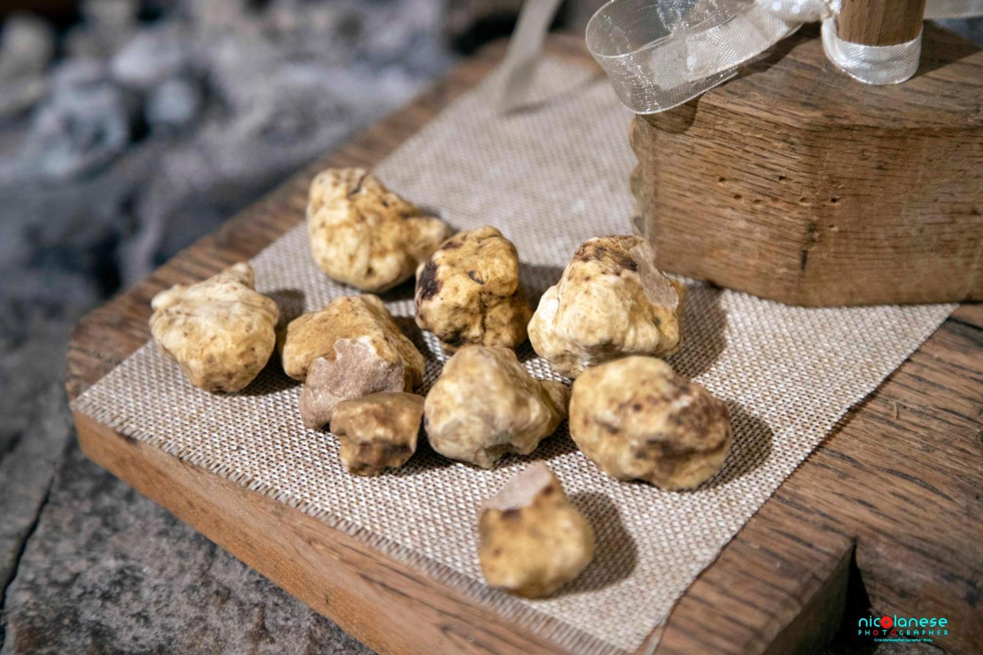 Agriturismo Terra E Sapori Campodipietra 外观 照片
