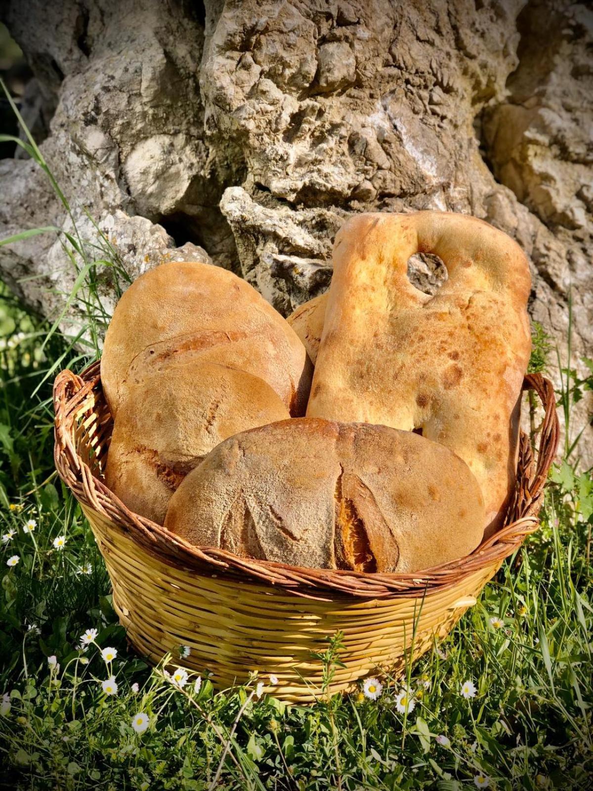Agriturismo Terra E Sapori Campodipietra 外观 照片