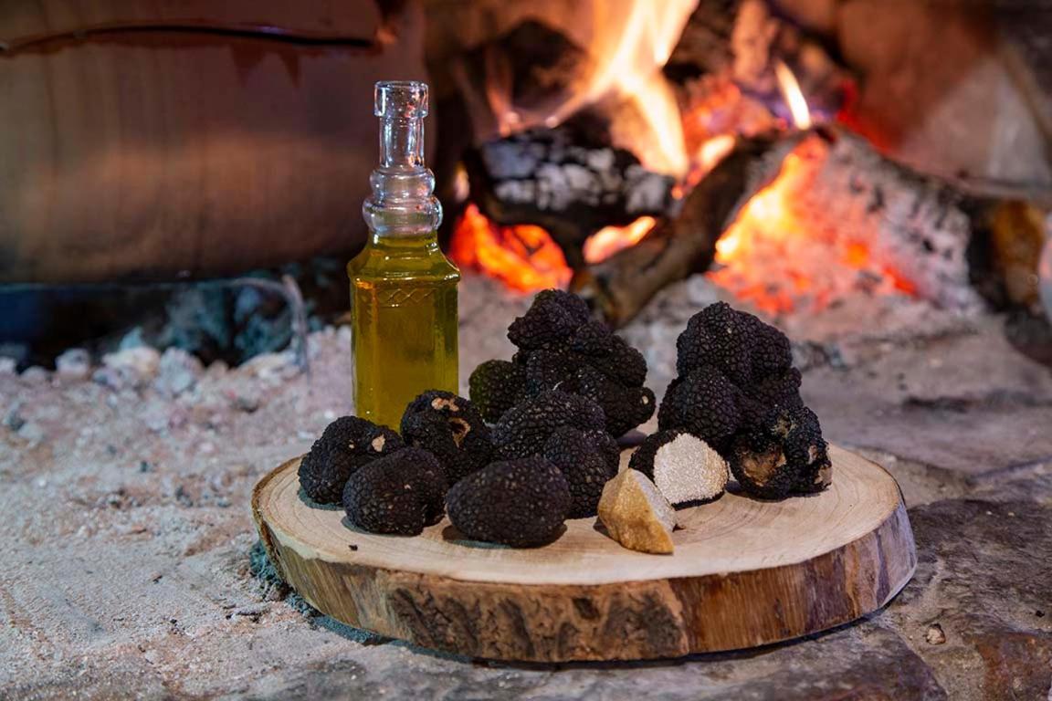 Agriturismo Terra E Sapori Campodipietra 外观 照片